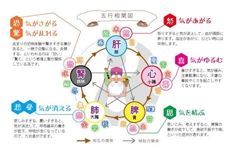 皮膚五行|陰陽五行説と東洋医学の関係を解説！体質改善や美容。